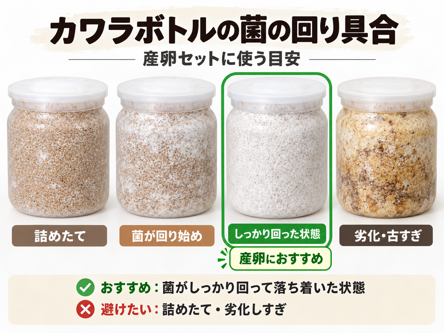 カワラボトルの菌の回り具合と産卵に適した状態