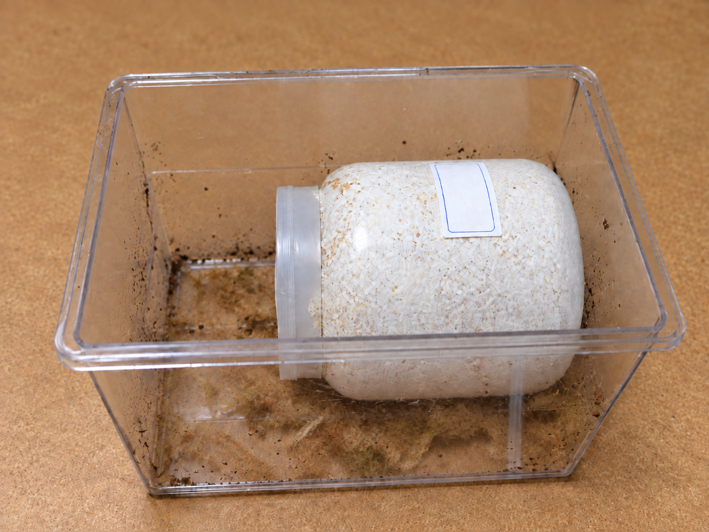 コバエシャッター小へ横向きに設置した1400ccカワラボトル