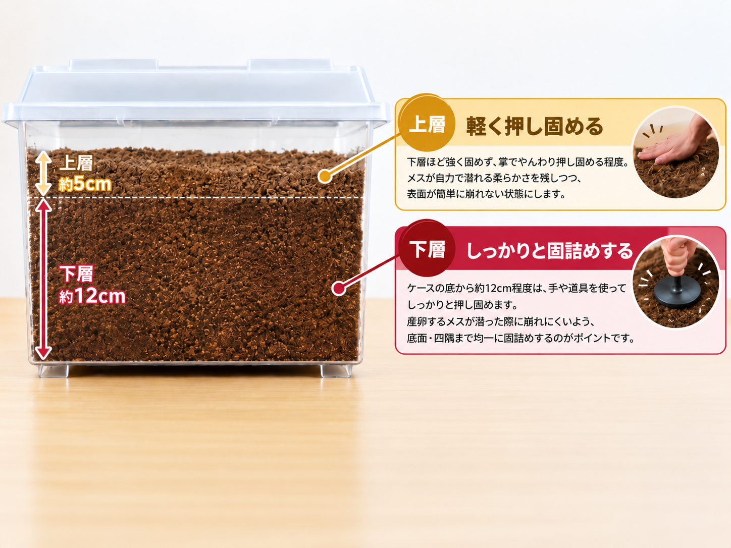 産卵セットのマットを下層約10〜12cmはしっかり固詰めし、上層約5cmは軽く押し固める方法